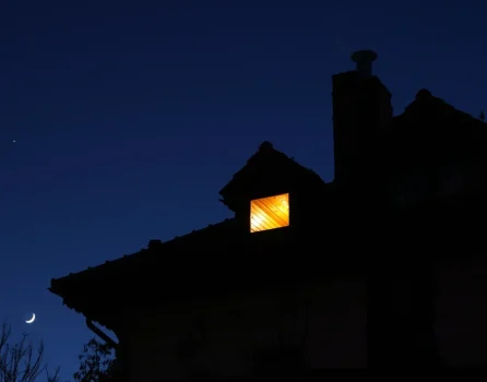 House silhouette at night with a light on in the window. Moon and trees visible outside